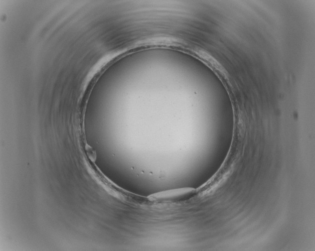 X0000074320989200609152027