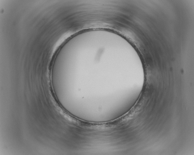 X0000074320990200609152027