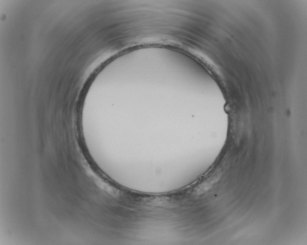 X0000074320991200609152027