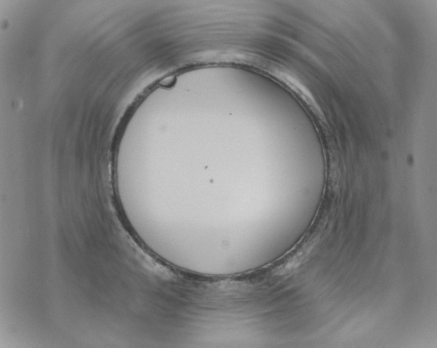 X0000074320992200609152027