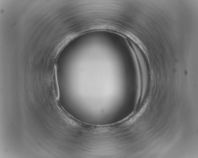 X0000074320993200609152027