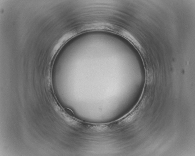 X0000074320994200609152027