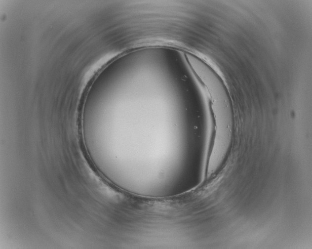 X0000074320995200609152027