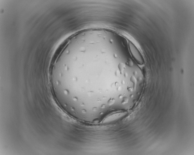 X0000074320996200609152027