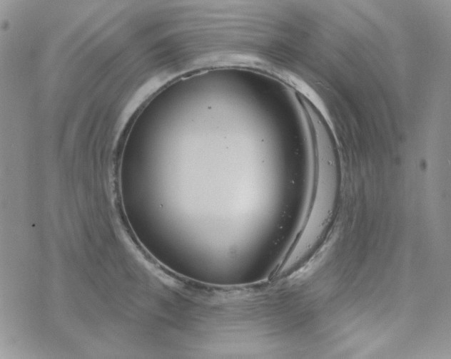 X0000074320997200609152027