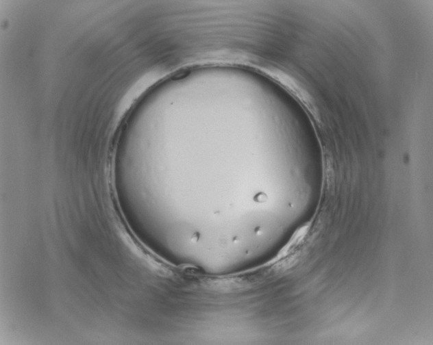 X0000074320998200609152027