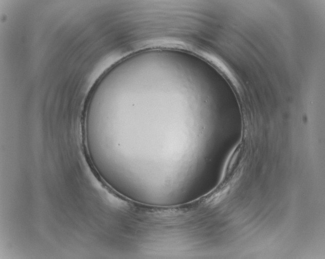 X0000074320999200609152027