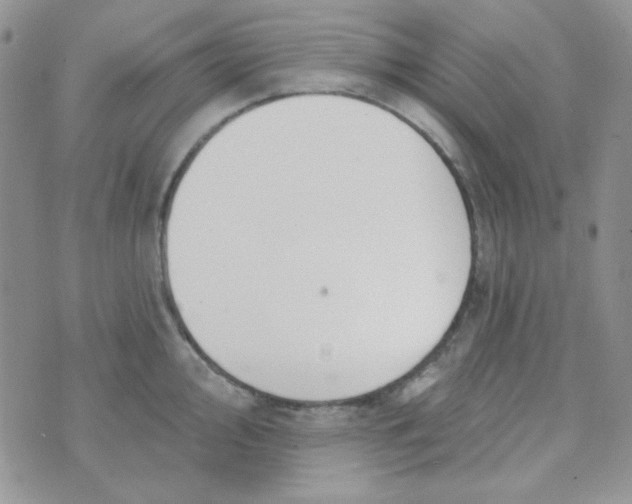 X0000074321000200609152027