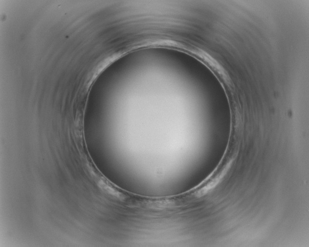 X0000074321001200609152027