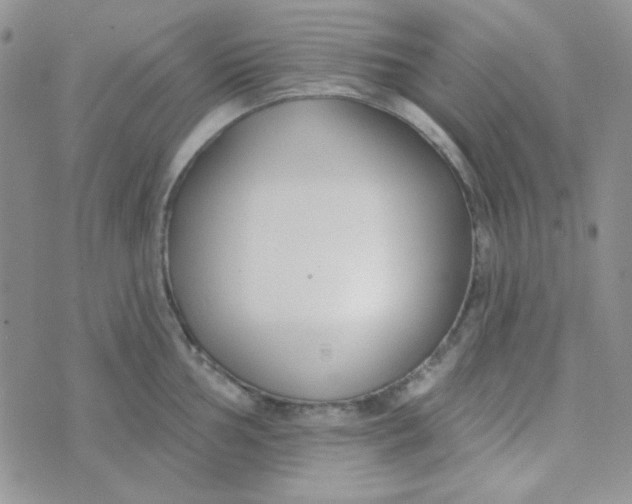 X0000074321002200609152027