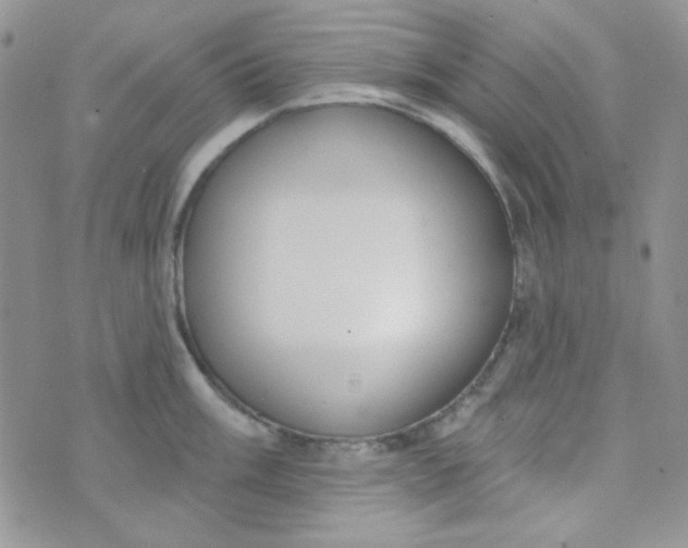 X0000074321003200609152027