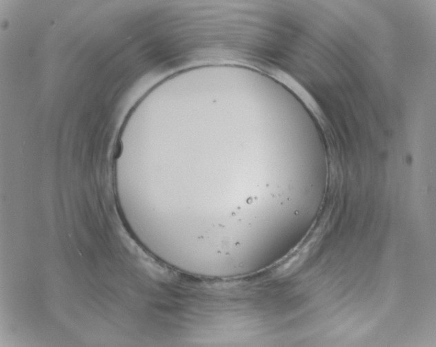 X0000074321004200609152027