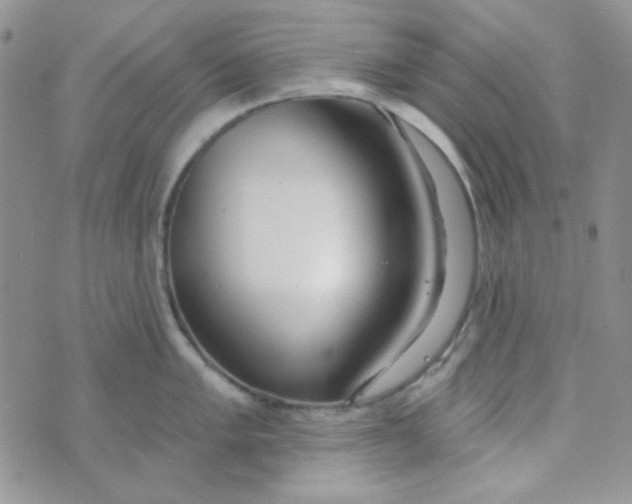 X0000074321005200609152027