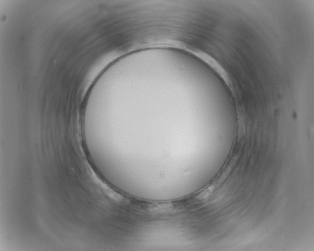 X0000074321006200609152027