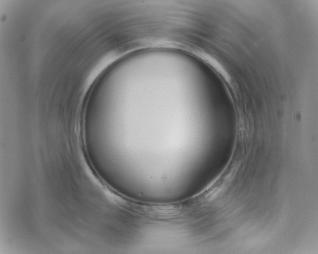 X0000074321007200609152027