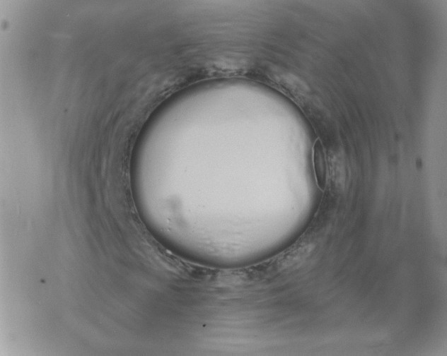 X0000074321009200609152026