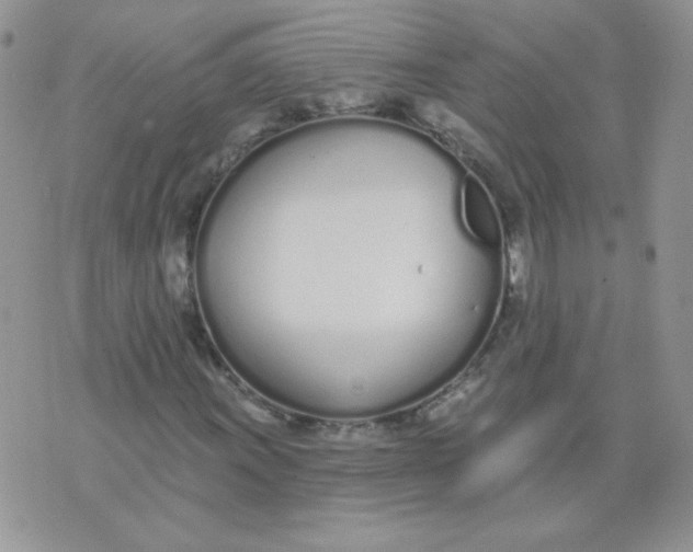 X0000074321011200609152026