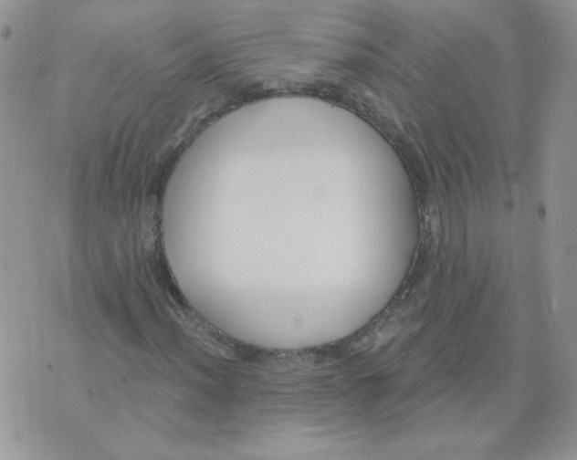 X0000074321012200609152026