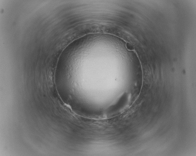 X0000074321013200609152026