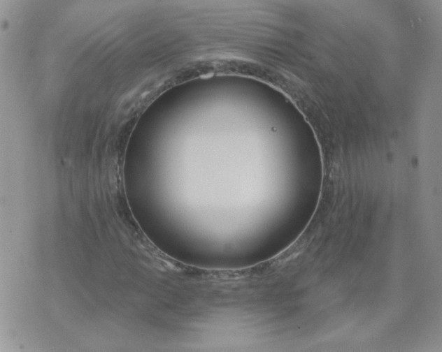 X0000074321014200609152026