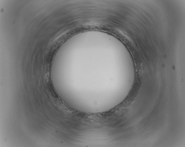 X0000074321015200609152026