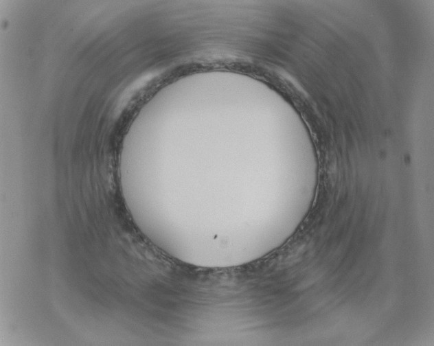 X0000074321016200609152026