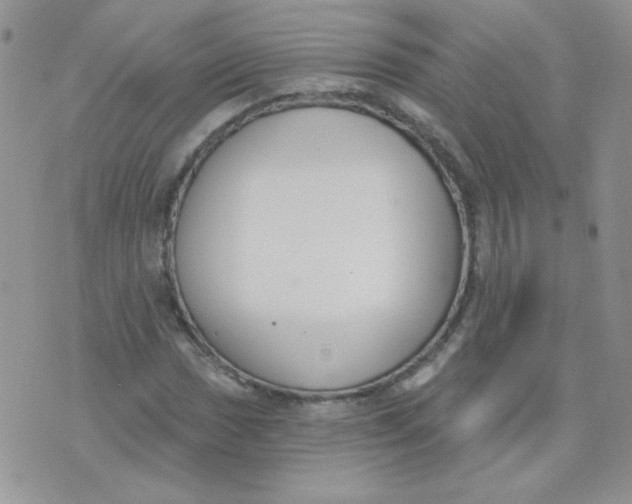 X0000074321017200609152026