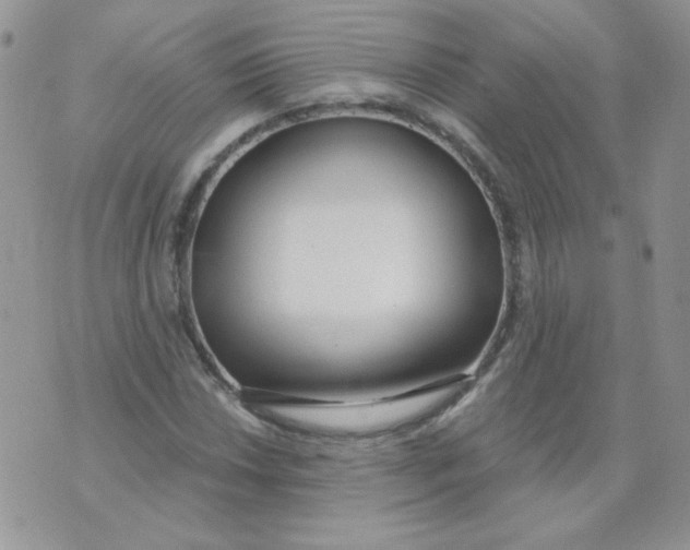 X0000074321018200609152026