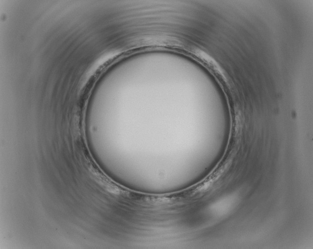 X0000074321019200609152026