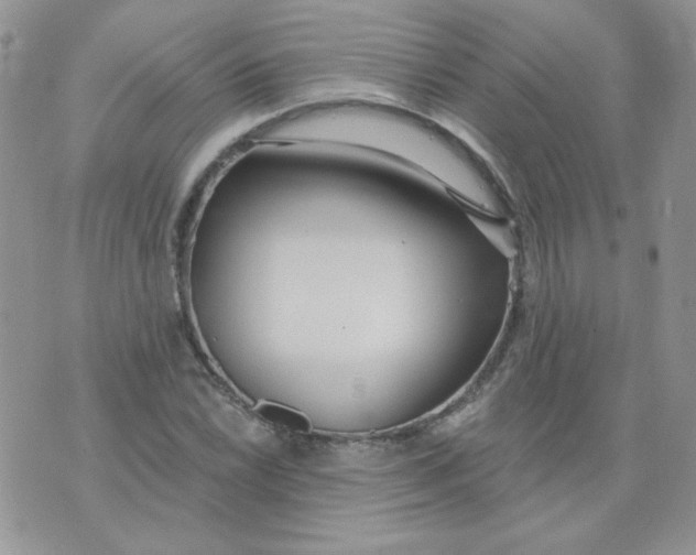 X0000074321022200609152026