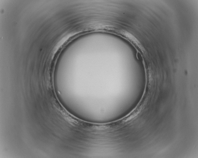 X0000074321023200609152026