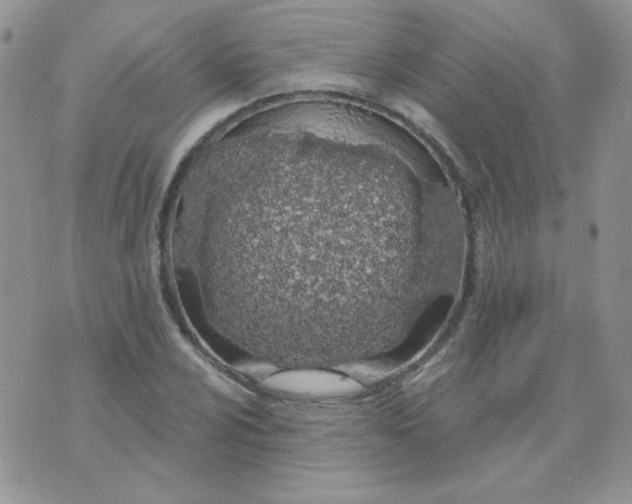 X0000074321024200609152026