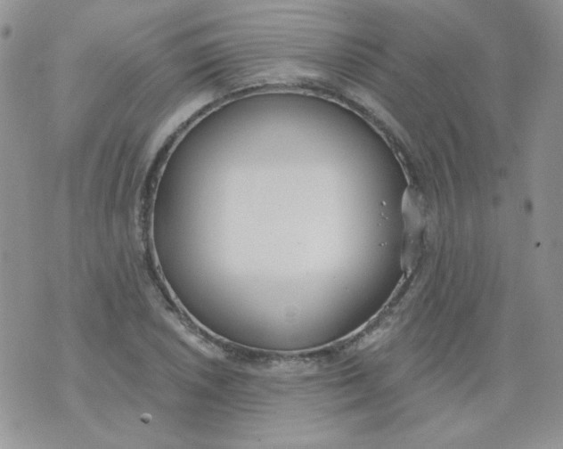 X0000074321026200609152027