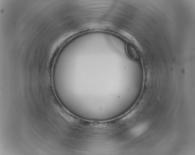 X0000074321027200609152027