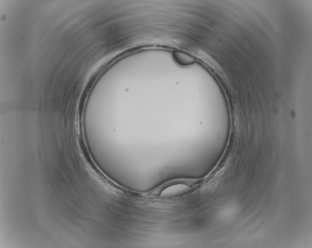 X0000074321028200609152027