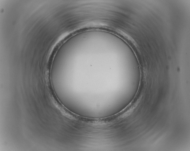 X0000074321029200609152027