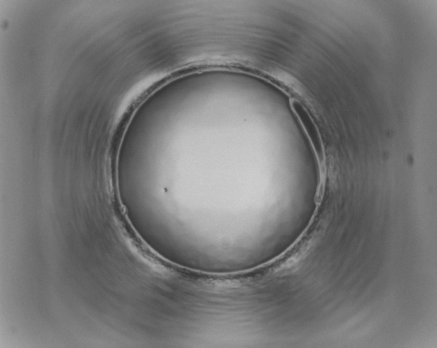 X0000074321030200609152027