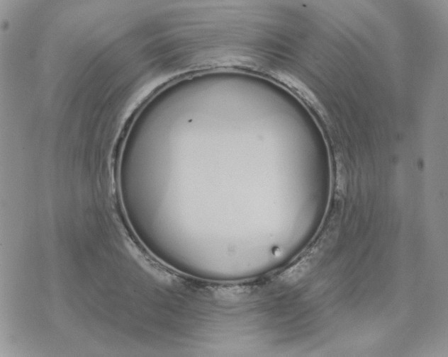 X0000074321031200609152027