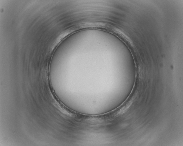 X0000074321033200609152027