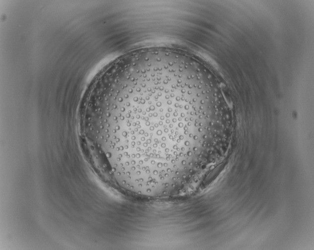 X0000074321034200609152027