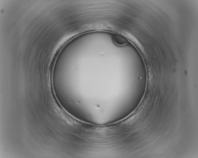 X0000074321035200609152027