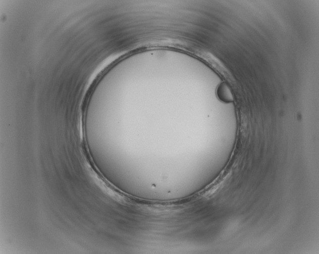 X0000074321036200609152027