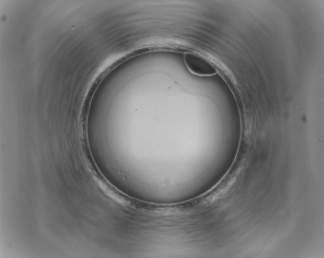 X0000074321037200609152027