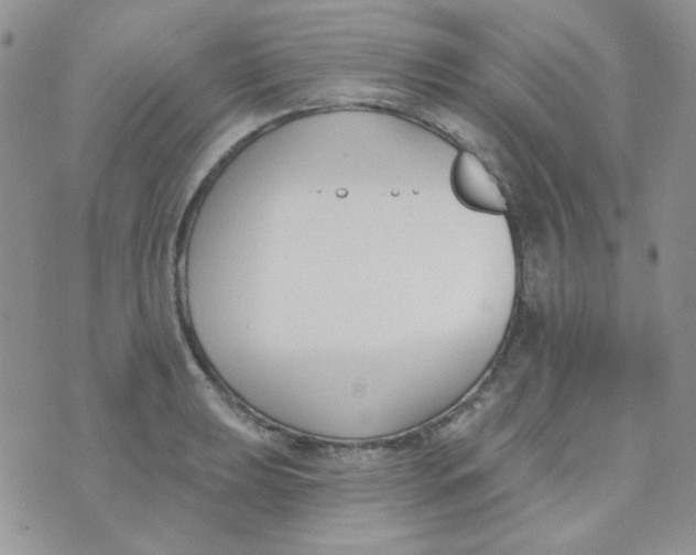 X0000074321039200609152027