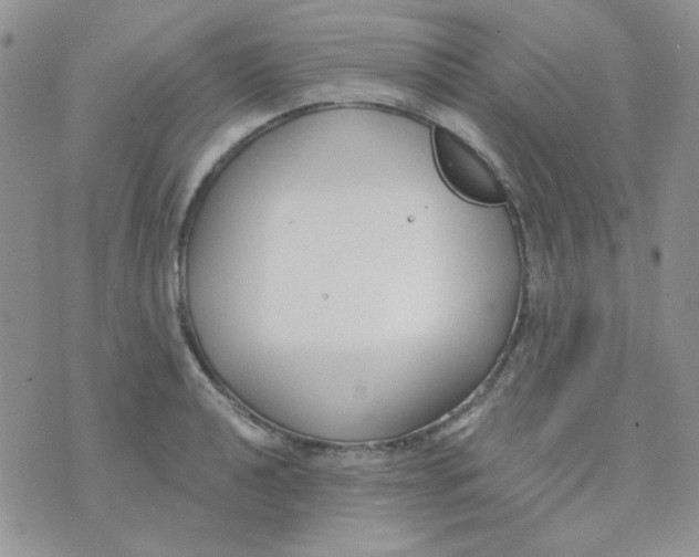 X0000074321040200609152027