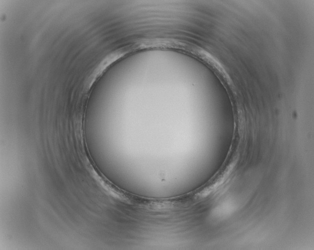 X0000074321041200609152027