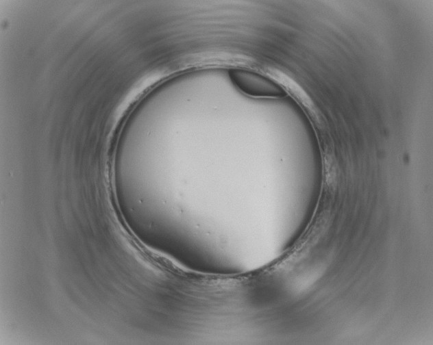 X0000074321043200609152027