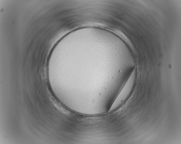 X0000074321044200609152027