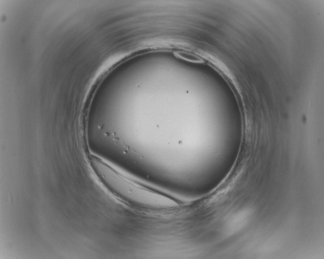 X0000074321045200609152027