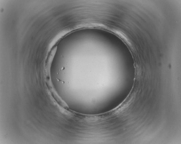 X0000074321046200609152027